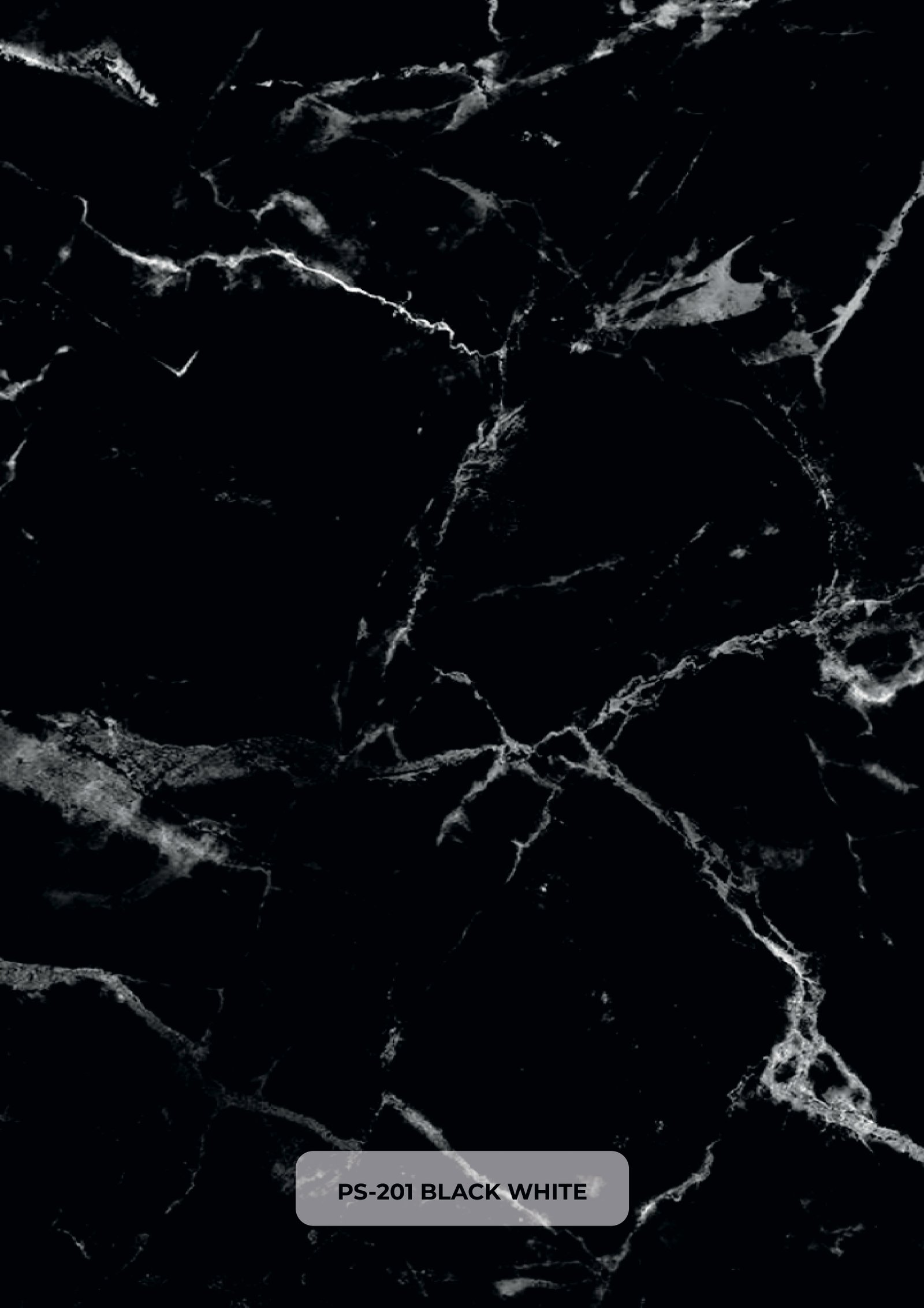 PS-201-BLACK-WHITE